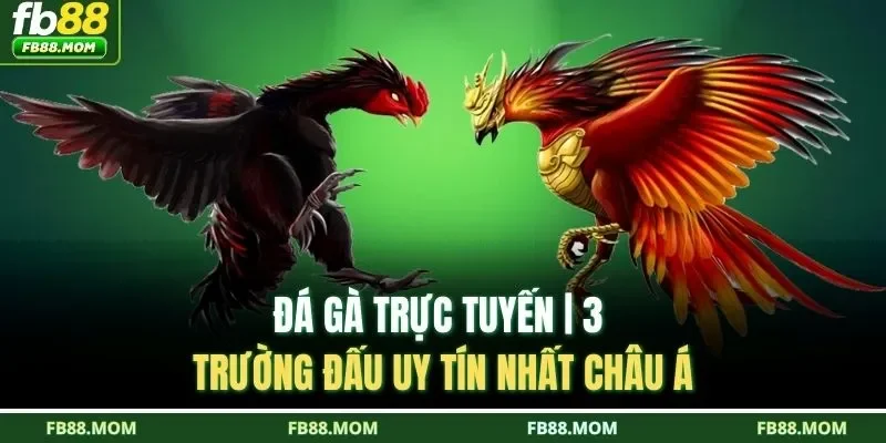 Đá gà trực tuyến
